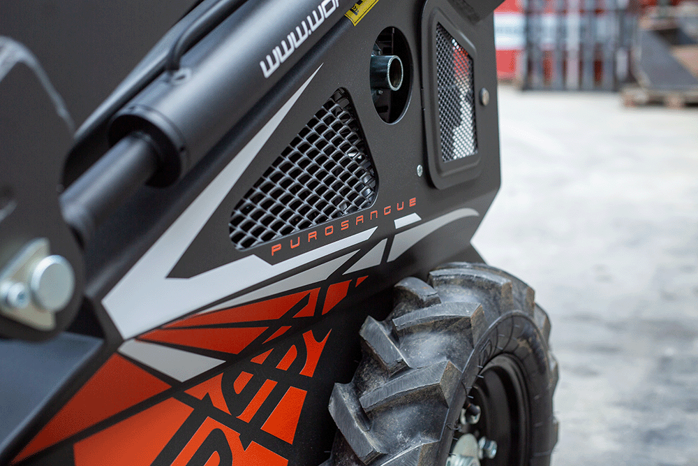 Dettagli 2 Workyquad SSQ11 Purosangue