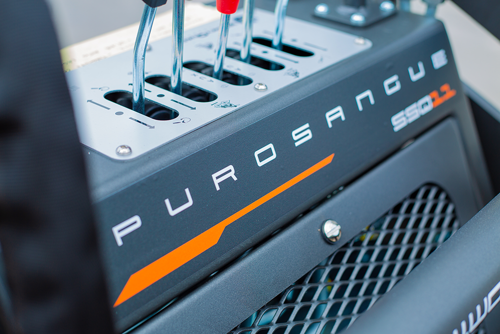 Dettagli Workyquad SSQ11 Purosangue